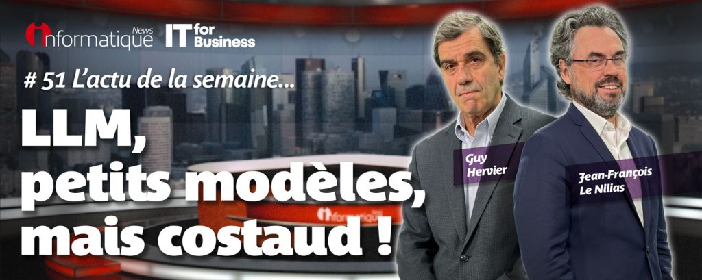 InfoNEws Hebdo 2024#51 : Databricks Dinum